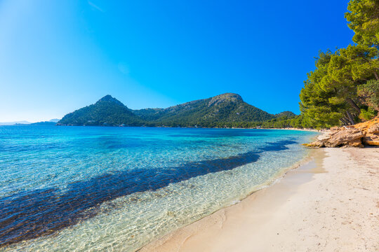 Mallorca Majorca Spain