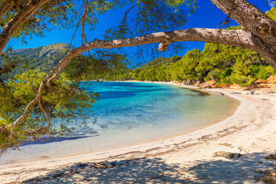 Mallorca Majorca Spain