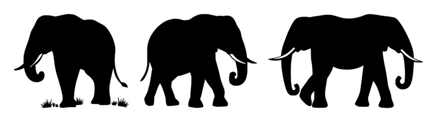 Obraz premium Elephant icon set with black silhouette on white backdrop featuring wildlife conservation, endangered species, iconography with high contrast and minimalist design