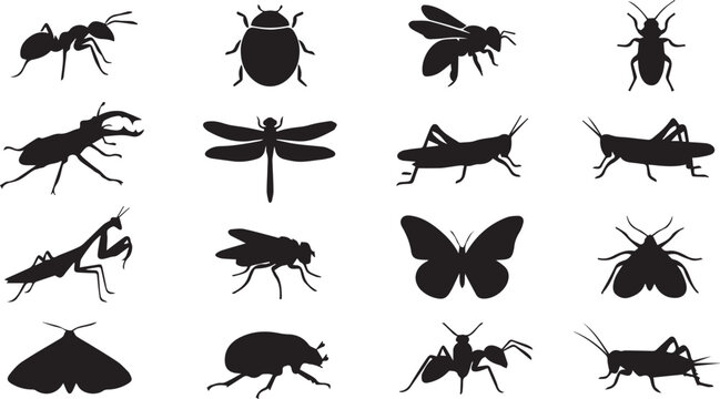 Insects and Bugs Silhouette Vector Icon Set Collection