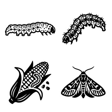 Black and white vector silhouette set of Corn Earworm.