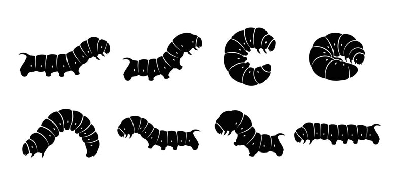 Black and white vector silhouette set of Cosmic Caterpillar.