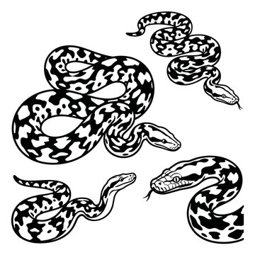 Black and white vector silhouette set of Cow Reticulated Python
