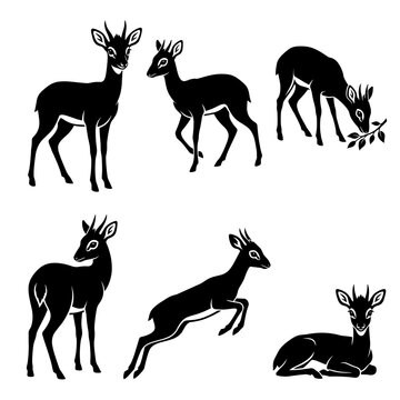 Black and white vector silhouette  set of Dik-Dik Madoqua
