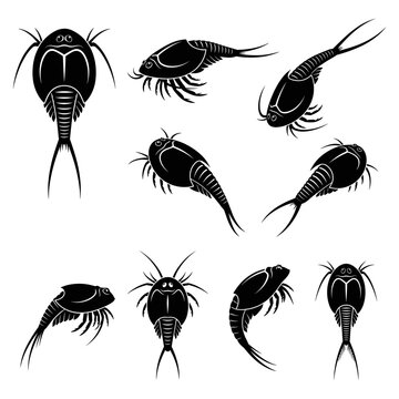 Black and white vector silhouette set of Dinosaur Shrimp.