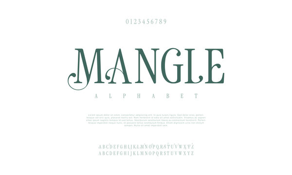 Mangle, Elegant Fashion and Minimal modern serif alphabet font