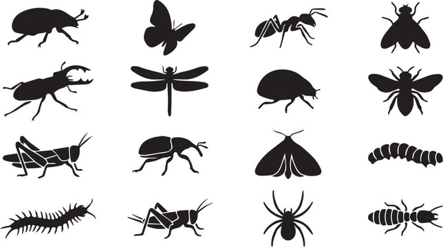 Insect and Bug Silhouette Icon Set: Diverse Nature Graphics
