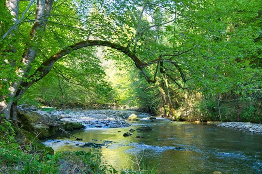 Fluss Argen im Allg&auml;u nahe Wangen