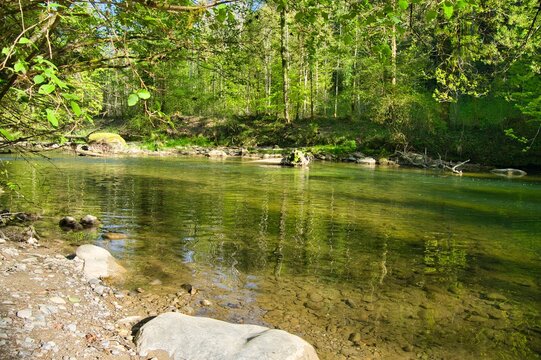 Fluss Argen im Allg&auml;u nahe Wangen