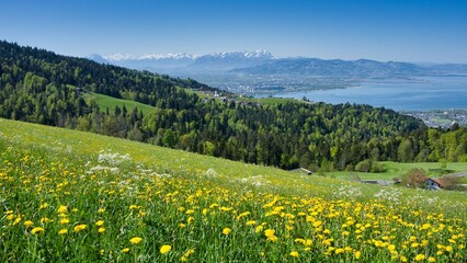 Fototapeta premium Landschaft bei Lutzelreute in Österreich