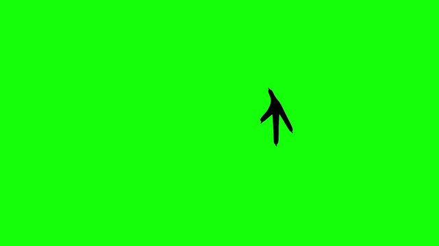 Animation of black chicken footprints walking on green screen. Video of black chicken feet running.