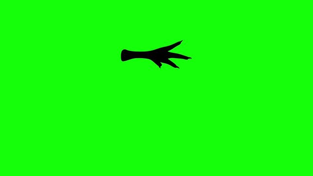 Animation of chicken feet walking on a green background. Great for animal footprint markings.