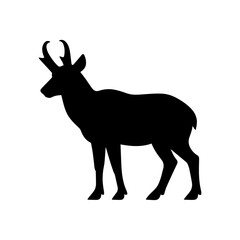 Fototapeta premium Pronghorn Antelope Full Body Standing Profile Black Silhouette Vector.