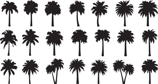 Palm Tree Silhouette Vector Icon Set for Tropical Design