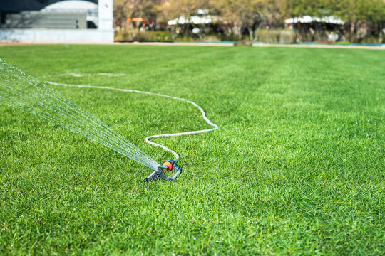 Automatic sprinkler system watering the lawn in sunny day. Irrigation, watering green grass for growth. 