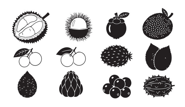 Assortment of exotic tropical fruits in a clean minimalist icon set for design