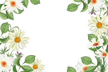 Obraz premium Watercolor frame with chamomile flowers and green leaves. Hand drawn botanical illustration for herbal tea packaging, greeting card, wedding invitation and organic product design element.
