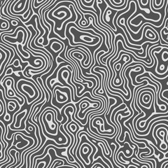 Fototapeta premium Black and white abstract topographic pattern.