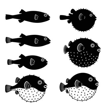 Pufferfish Silhouettes: Normal and Inflated Fish Illustrations