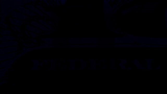 High contrast neon glitch animation featuring distorted US currency textures, including denominations, presidential portraits and treasury seals on black background.
