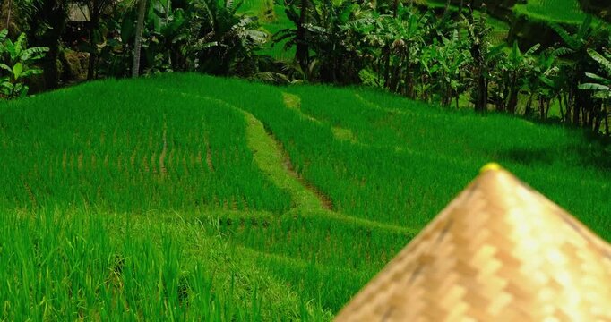 Tropical Rice Terraces with straw hat in Indonesia | Bali Countryside Scenic View 4K