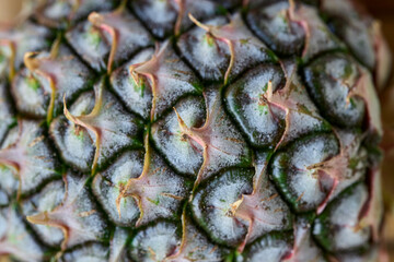 Fototapeta premium pineapple skin texture