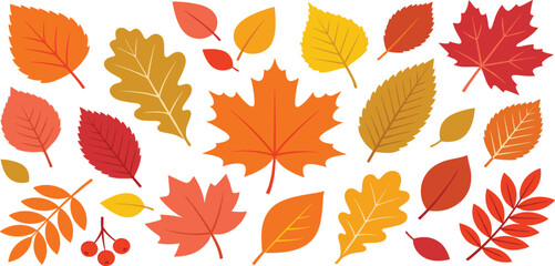 Autumn leaves vector set featuring colorful maple oak and elm foliage for seasonal fall design © Mahan