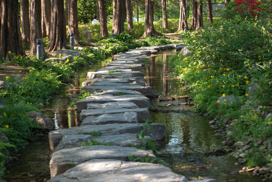 양평 새미원 봄풍경, Yangpyeong Saemiwon spring scenery