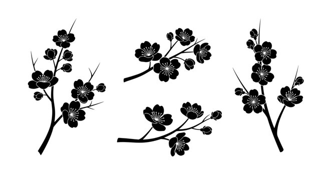Black Cherry Blossom Branches Silhouette