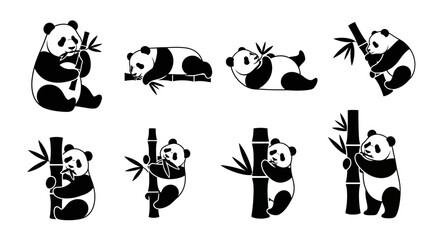 Fototapeta premium Cute Panda Bears Eating Bamboo - Collection of Cartoon Illustrations