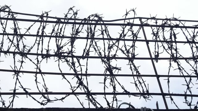 Barbed wire fence rows silhouetted against white overcast sky on concrete wall security barrier boundary prison concept