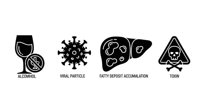 Liver Disease Causes Icons: Alcohol, Virus, Fatty Deposit, Toxin
