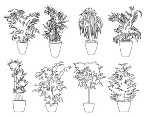 Fototapeta premium set of plants diverse set of eight minimalist, hand-drawn vector illustrations of indoor potted plants. This collection showcases a variety of botanical styles, perfect for architectural drawings, UI/
