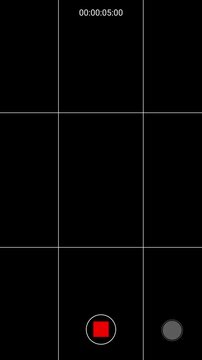 Camera recording screen vertical mobile overlay. Animation screen camera record with grid lines overlay. 