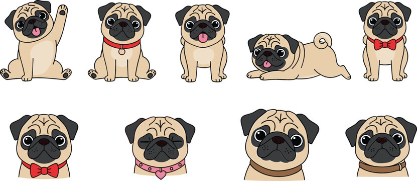 Cute pug dog cartoon collection with different poses and expressions adorable pet vector illustration for kids design stickers social media and animal lovers content