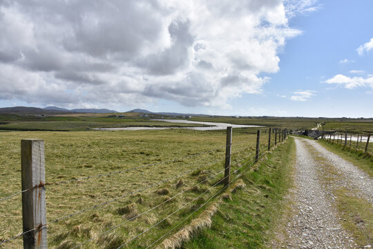 Winding Rutted Tract on a Farm in Scotland