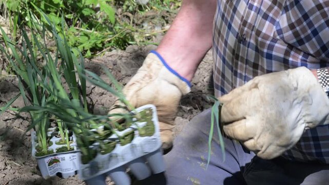 AGRICOLTORE 