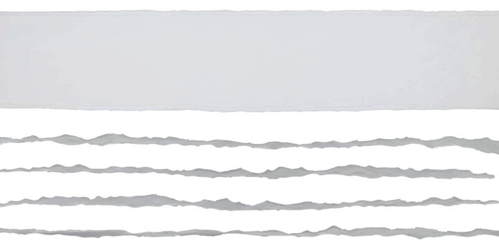 Set of four horizontal grey torn paper strips with rough ragged edges for design
