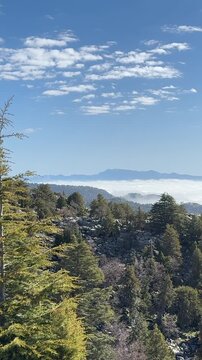 A sea of ​​fog forming over the lake after the rain, and magnificent, mystical landscapes.