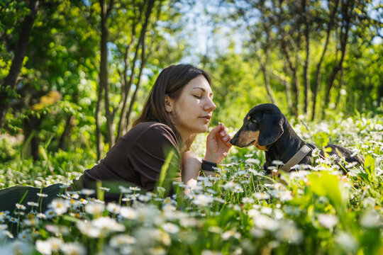 Close-up of happy young woman and black dachshund lying face to face on lawn with blooming daisies in park