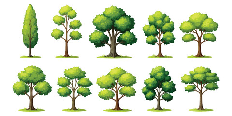 Set of ten different green trees with lush foliage and brown trunks for forest and park design ©  creative  marlia