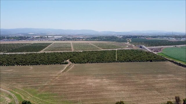 Aerial Panorama of Vast Agricultural Fields and Orchards in Western Galilee, Israel