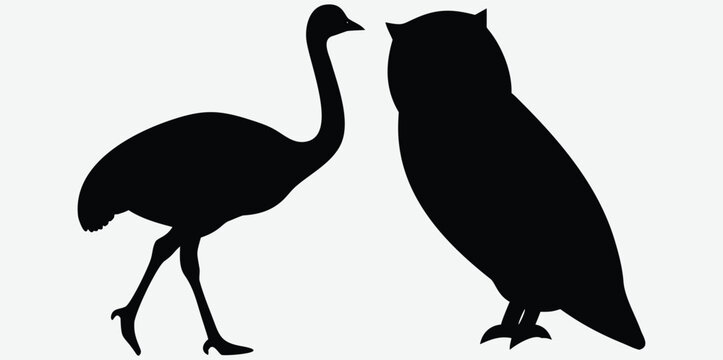 Black silhouettes of an emu bird and an owl standing side by side Vector