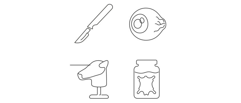 Taxidermy Workshop Vector Icon Set with Editable Stroke featuring Scalpel, Glass Eye, Animal Head Foam Form, and Tanning Solution Jar for Professional Crafts and Restoration Projects.
