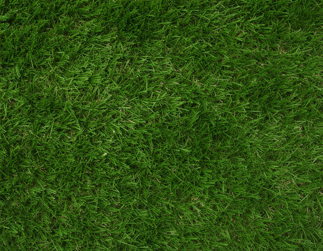 Vibrant green grass lawn texture background.