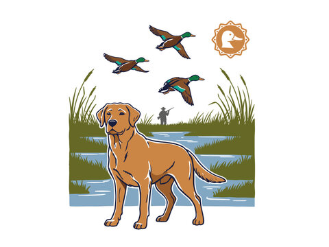 Duck hunting illustration for t shirt. Labrador dog artwork for apparel. Mallard flying vector design. Outdoor adventure graphic. Hunter in marsh.