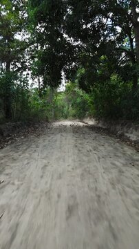 Low altitude forward moving drone footage along a tree lined dirt path in Parque de los Pericos in San Salvador, El Salvador. Overhanging tropical trees create a natural canopy over the pathway