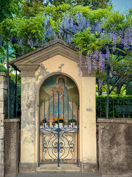roadside shrine or chapel  and gate under wisteria flowers near Lake Como, Italy