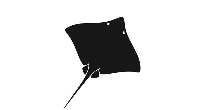 Black Manta Ray Swimming Underwater 1.