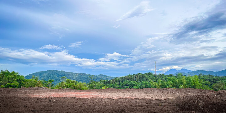 Impact of deforestation on tropical rainforests and biodiversity loss. Tropical forests deforestation. Global Warming